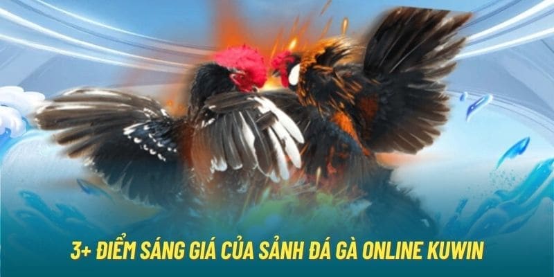 Ưu điểm của sảnh đá gà Kuwin